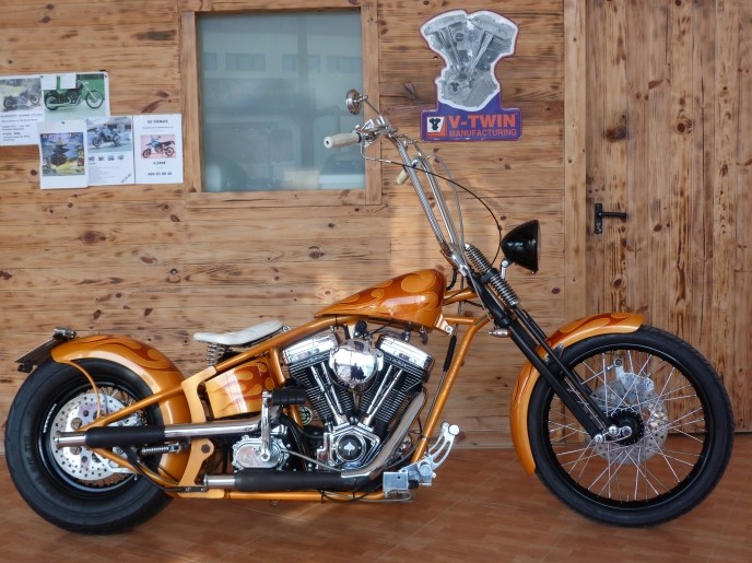 Softail Custom from Daytona bikes